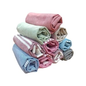 Aavanya Home / Premium 10 Pcs / Hand Towels